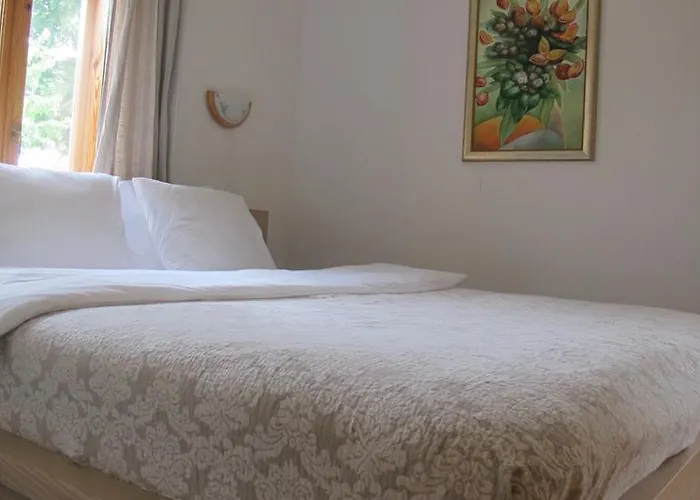 別荘 Smilciu Namelis パランガ